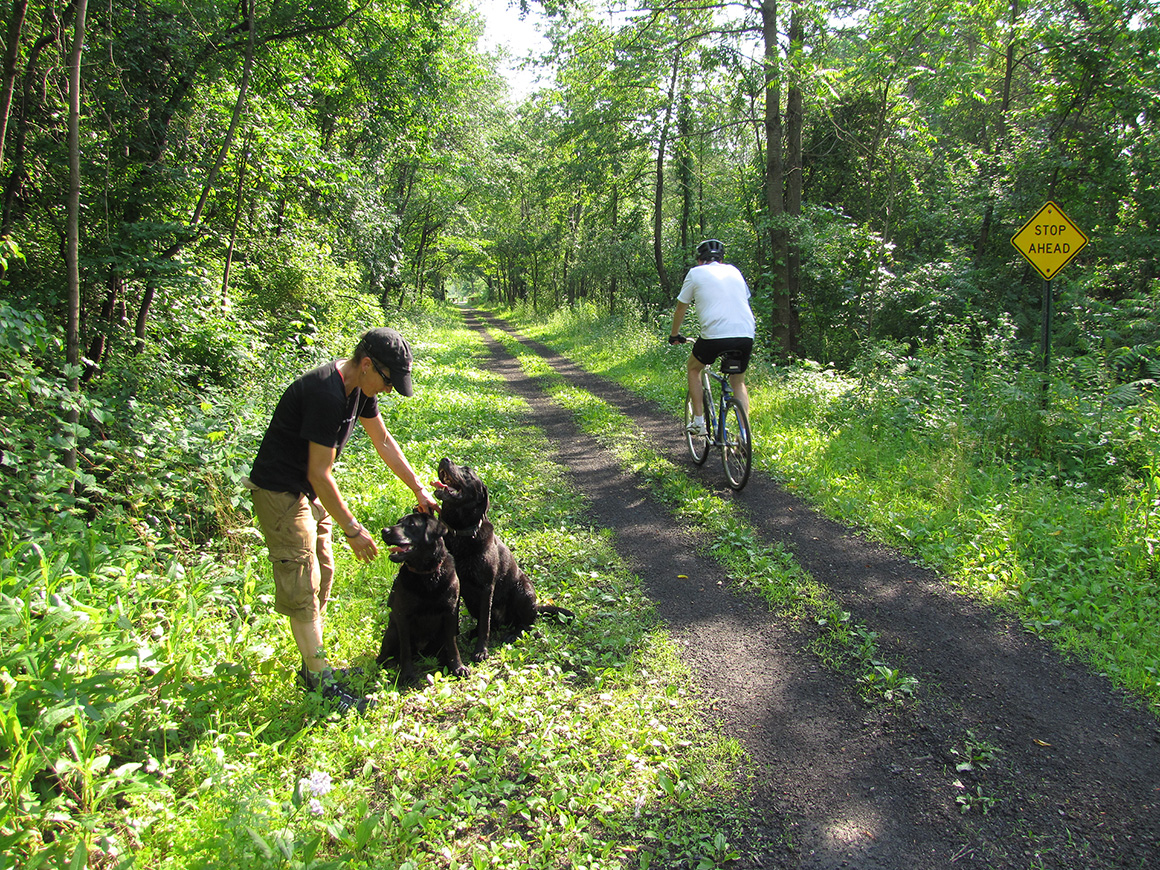 Dogs__Cyclist_North_of_Morgan_Rd__R.Melville.jpg